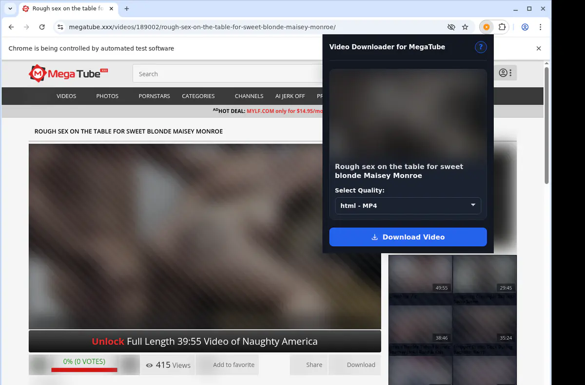 Megatube Video Downloader browser extension screenshot 3