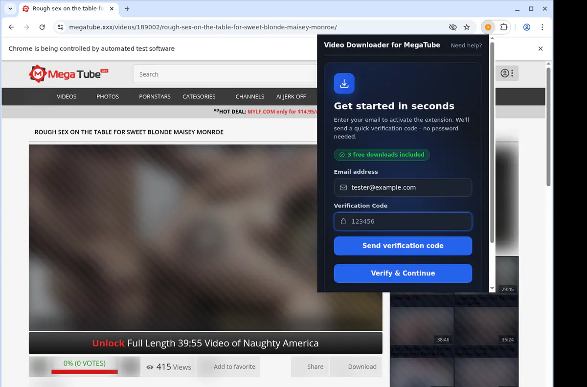 Megatube Video Downloader browser extension screenshot 4