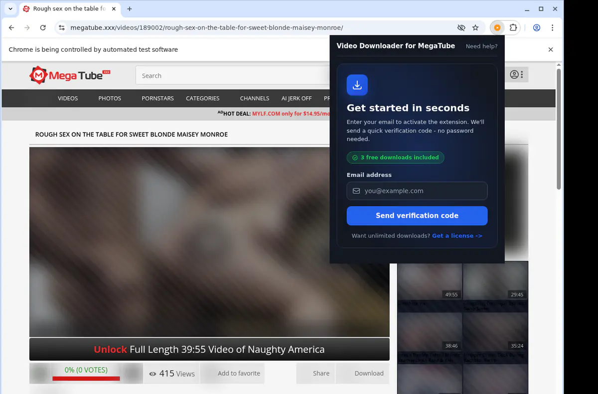 Megatube Video Downloader browser extension screenshot 5